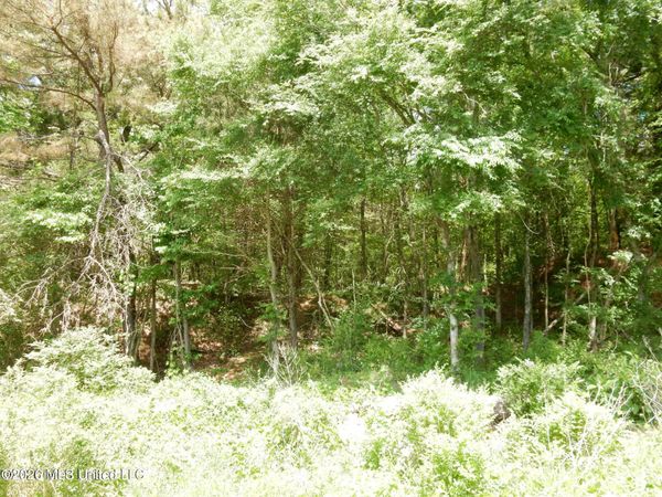 3 Looxahoma-tyro Road, Senatobia, MS 38668