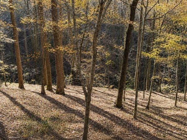 0 Lake View Dr , Unit 16, Smithville, TN 37166