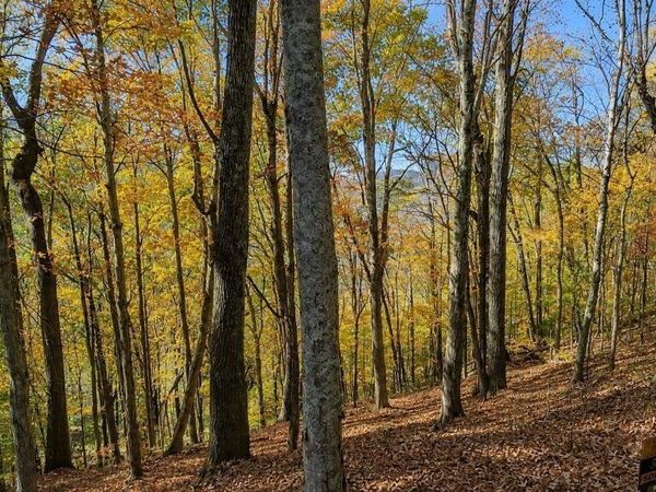 0 Savannah Dr , Unit 3, Smithville, TN 37166