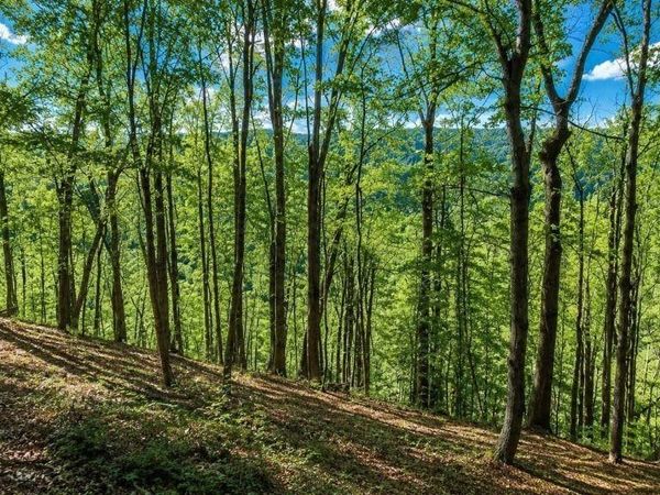 0 Savannah Dr , Unit 4, Smithville, TN 37166