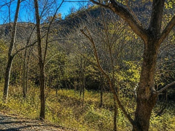 0 Blackberry Ridge Way , Unit 86, Smithville, TN 37166