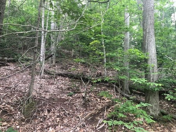 TBD Seldon Road, Petoskey, MI 49770