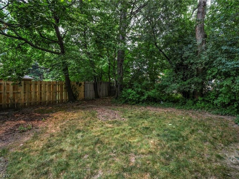1909 Powell Avenue, Cleveland Heights, OH 44118 Photo 49