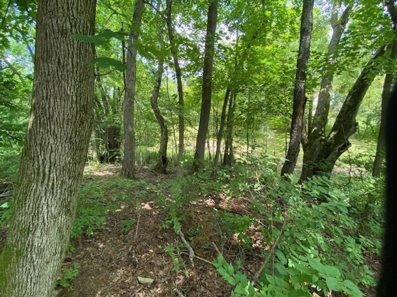 6331 Sherman Road, Galena, OH 43021 Photo 18