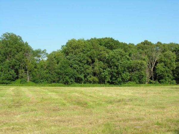 3319 Mahogany Avenue, Osage, IA 50461