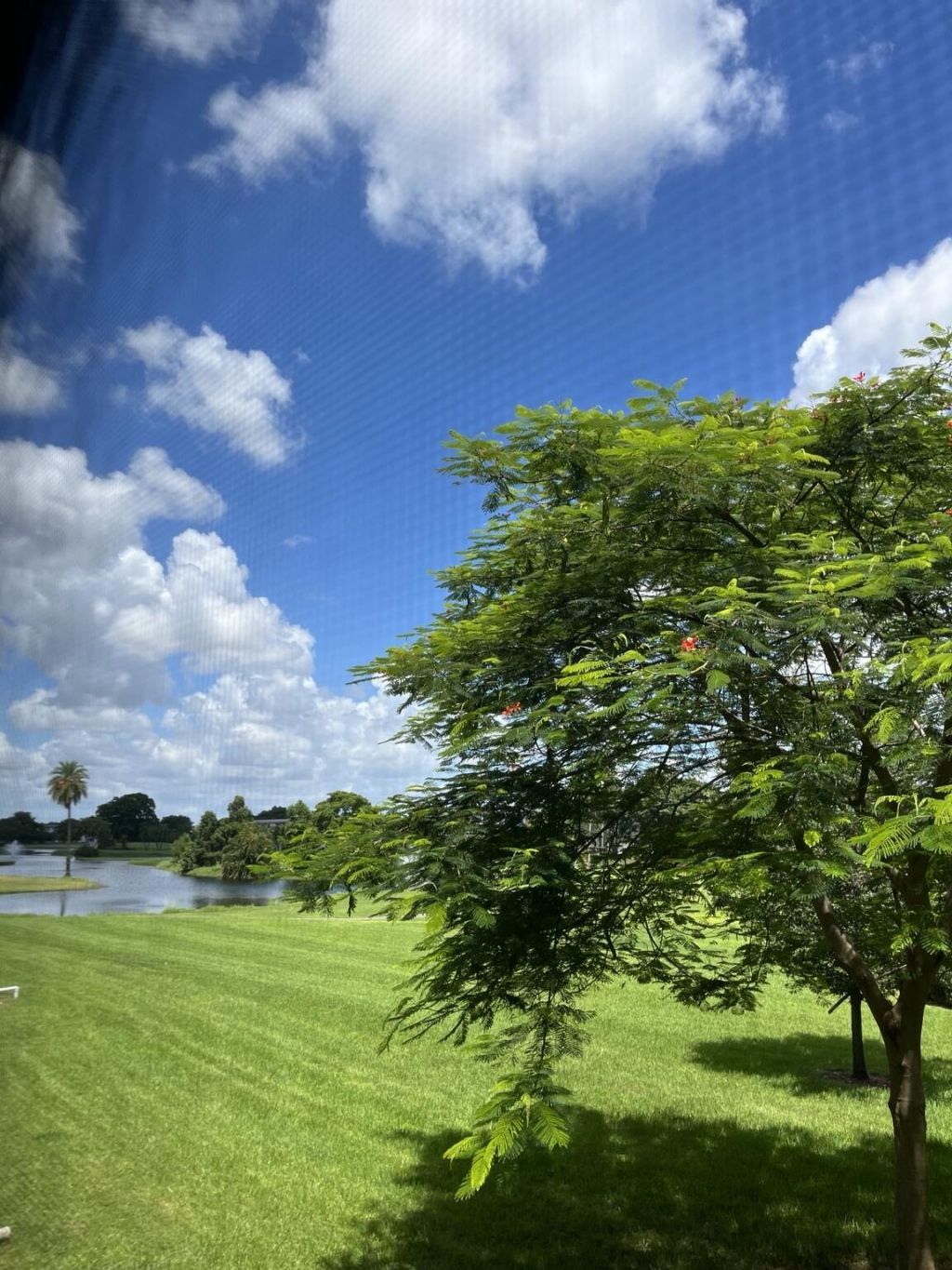 4701 Martinique Drive, Unit L2, Coconut Creek, FL 33066 Photo