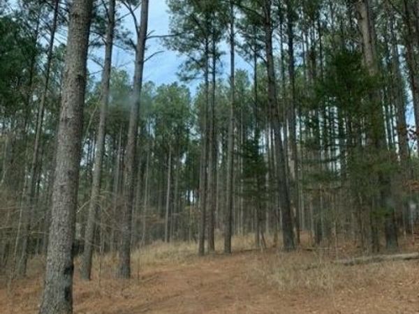 18 Whispering Pine , Broken Bow, OK 74728