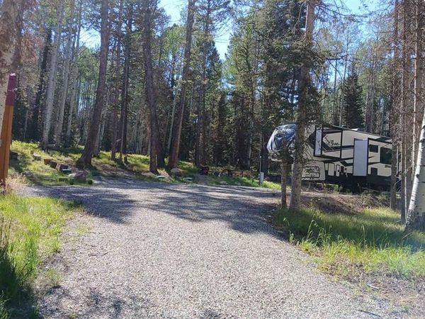 2020 Spruce Road, Cimarron, CO 81220