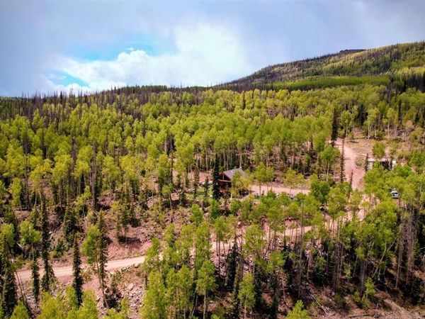 5565 Forest Rd 504 Road, Creede, CO 81130