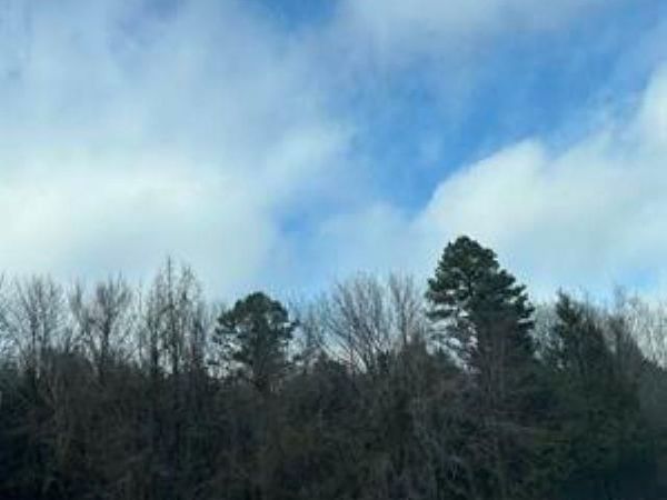 Greenbrier, AR 72058