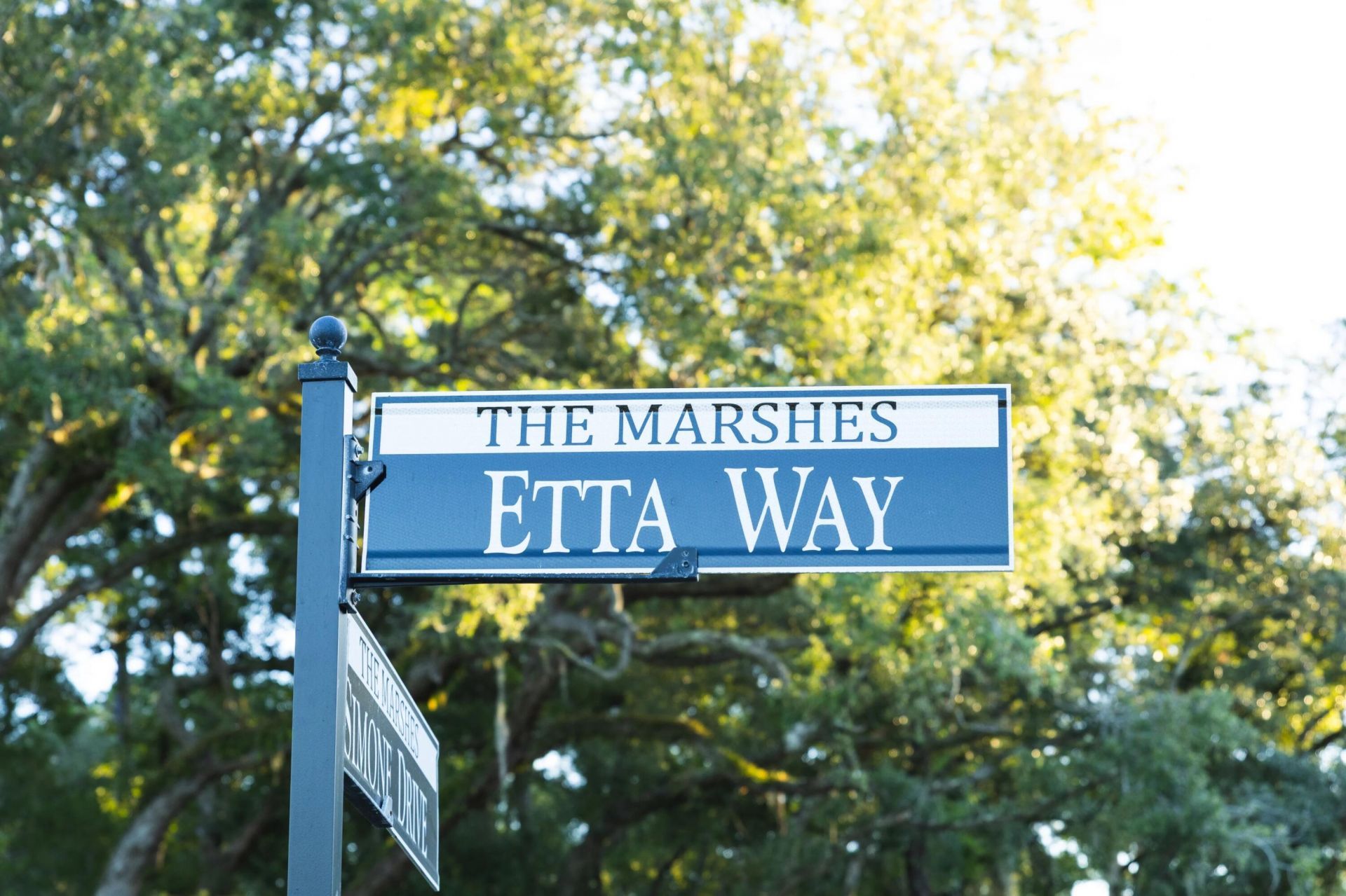 128 Etta Way Photo 41