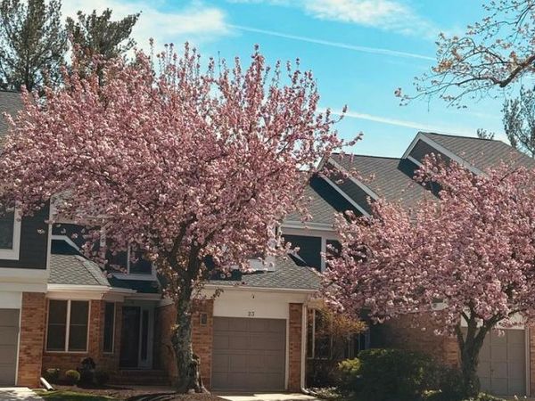 23 RAISIN TREE CIRCLE , BALTIMORE, MD 21208