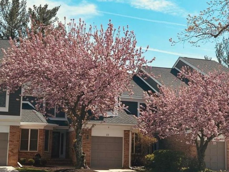 23 Raisin Tree Circle , Baltimore, MD 21208 Main Photo