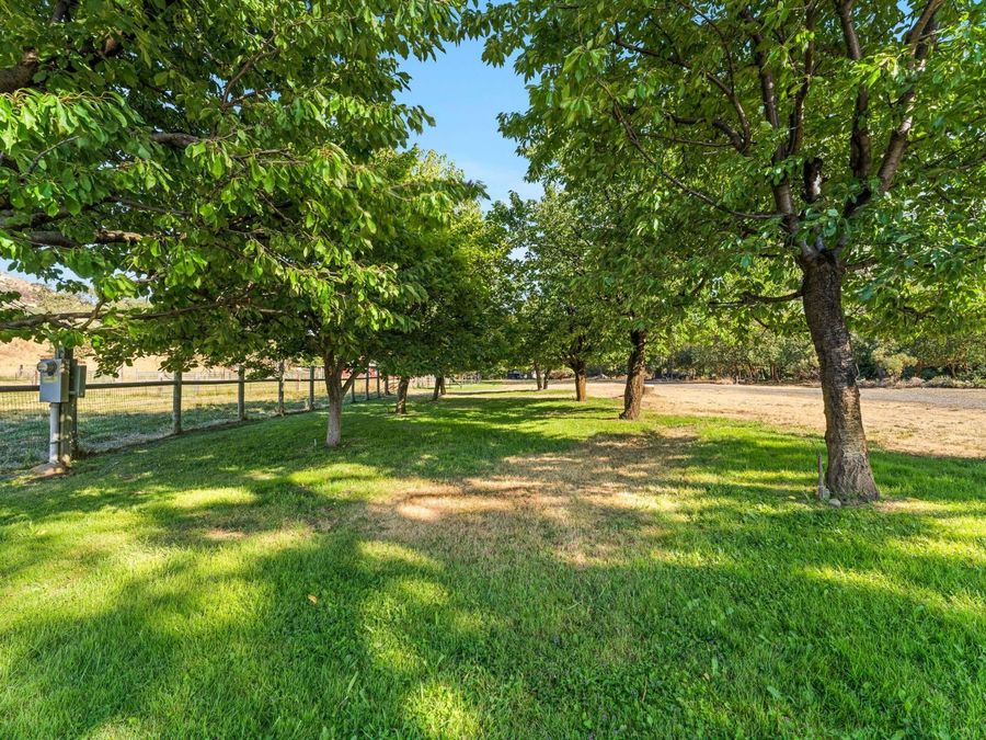 Property Image 56