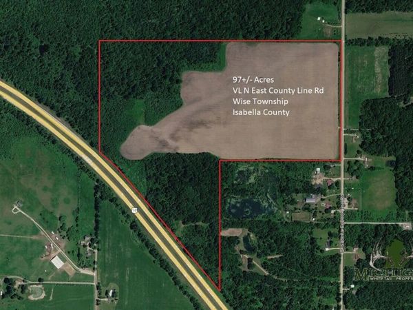 NE County Line Road, Coleman, MI 48618