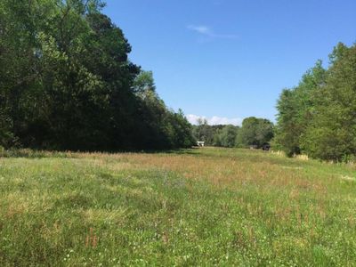 0 Boy Scout Road, Wadmalaw Island, SC 29487