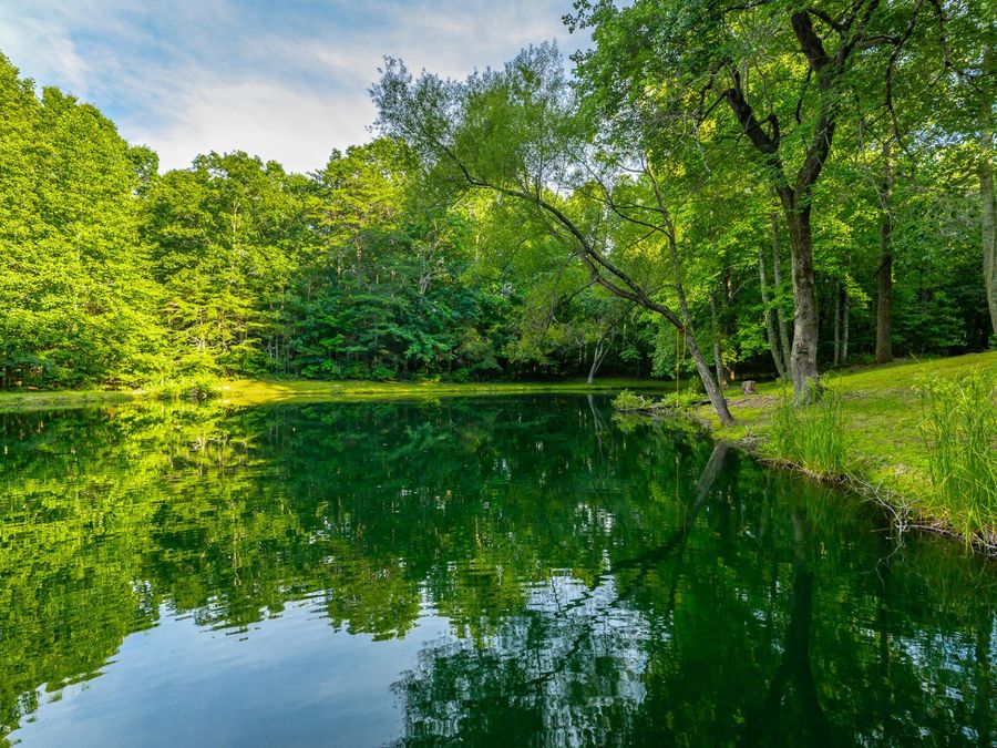 Property Image 100