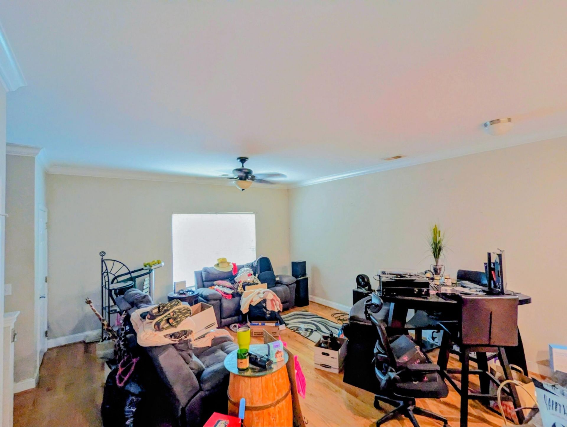 4029 Hartland Street Photo 4