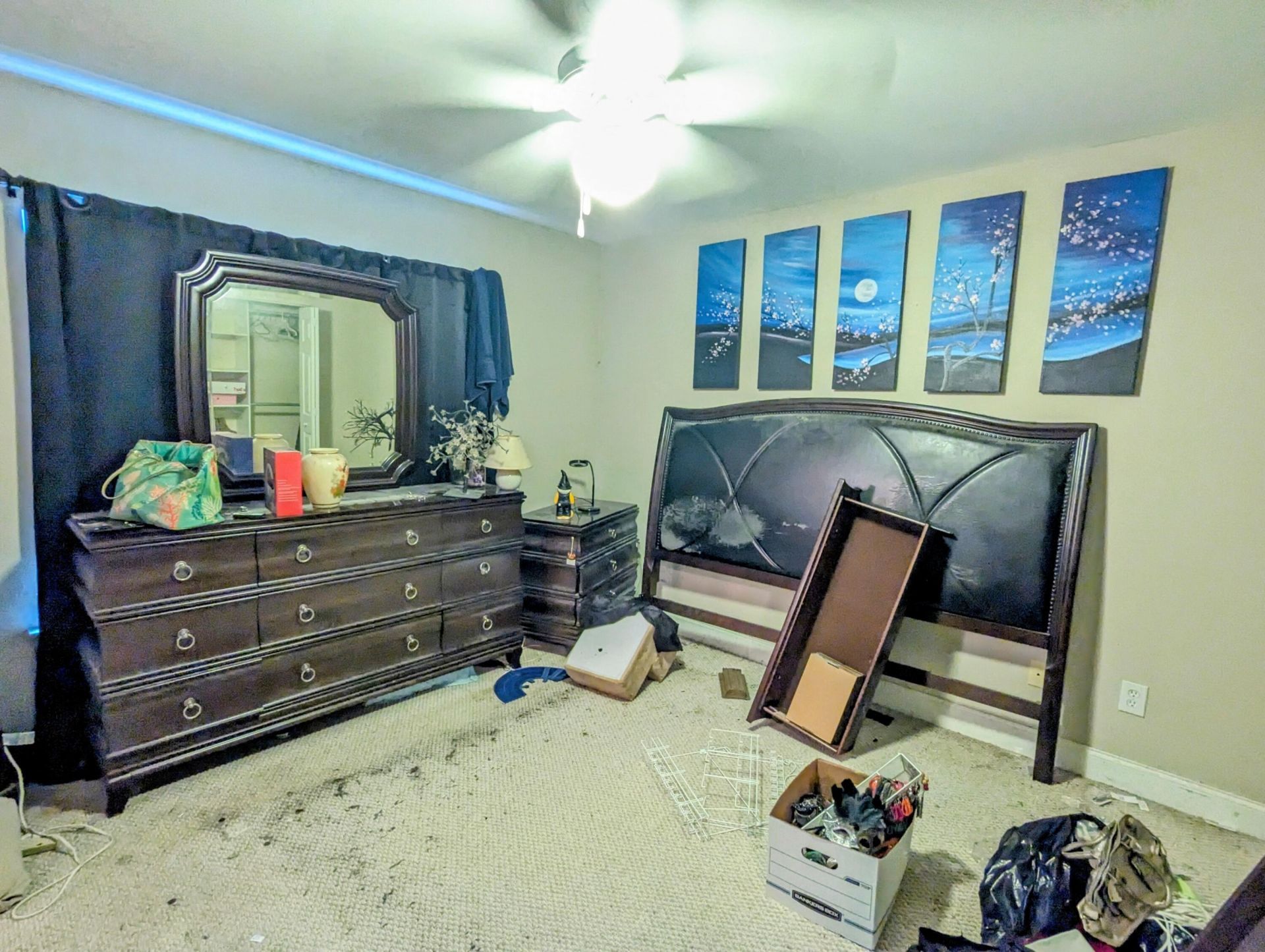 4029 Hartland Street Photo 8
