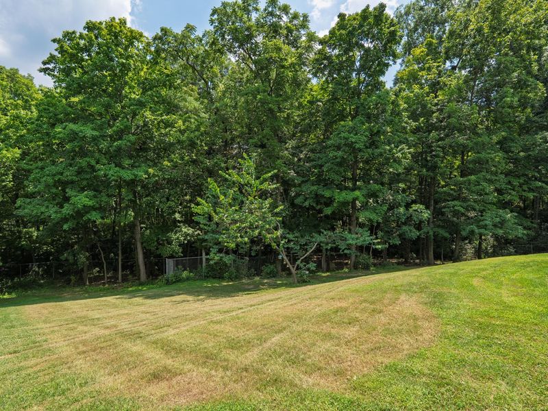 1161 Powderhorn Court, Independence, KY 41051 Photo 30