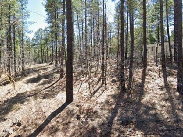 1437 E Elk Lane, Unit 33, Pinetop-Lakeside, AZ 85929