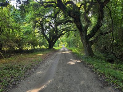 328 Drayton Street, McClellanville, SC 29458