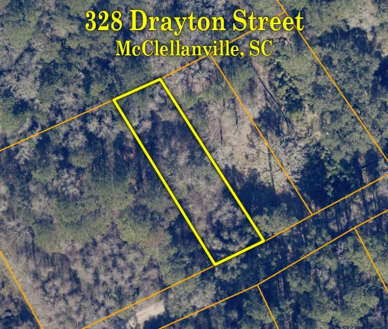 328 Drayton Street Photo 6
