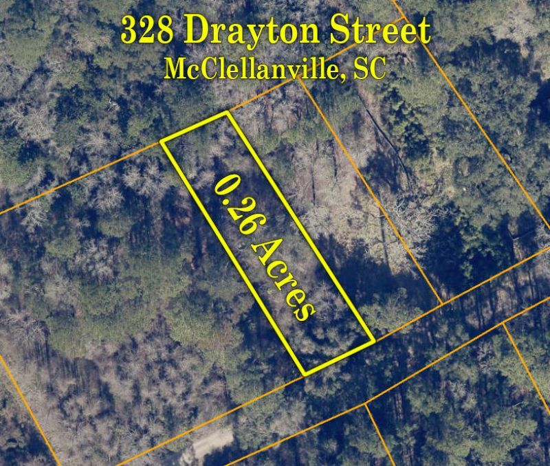 328 Drayton Street Photo 7