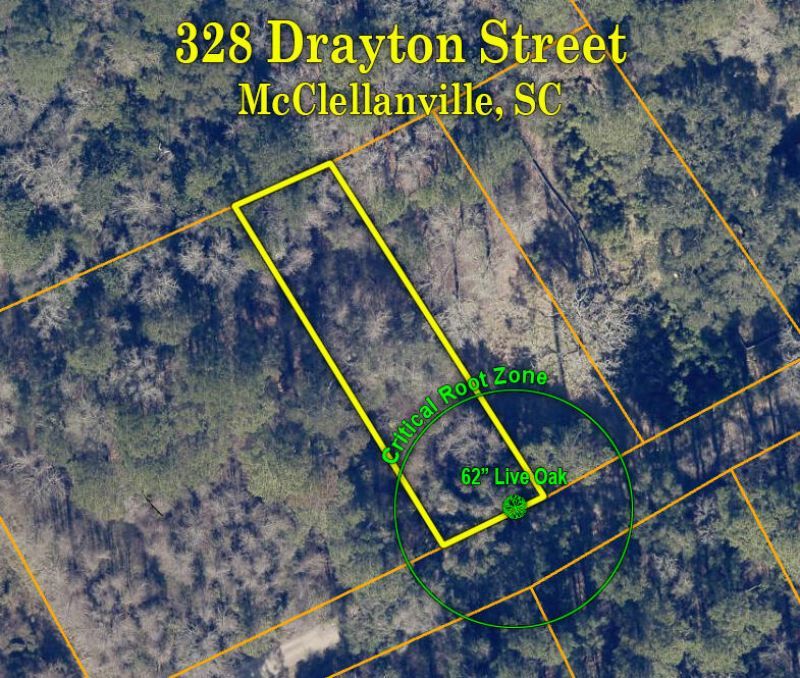 328 Drayton Street Photo 8