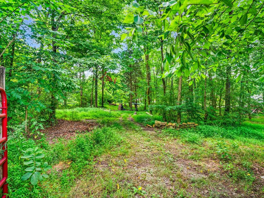 Property Image 37