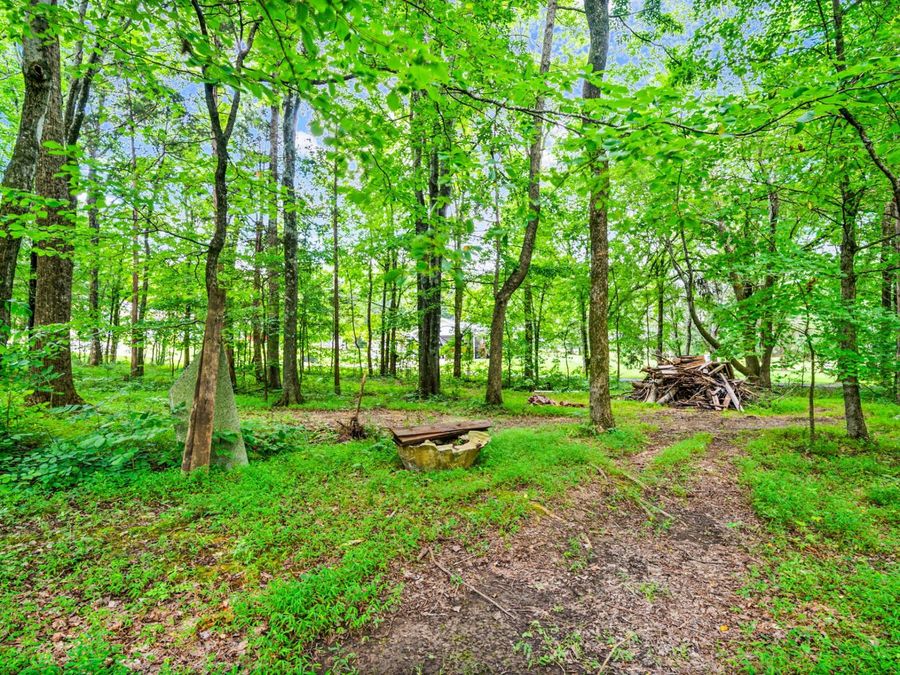 Property Image 38