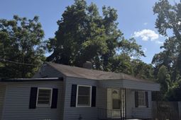 240 Pineneedle Street  photo 4