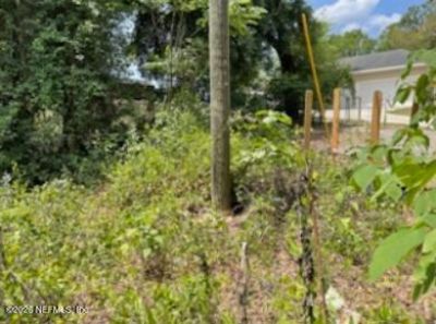 0 SE 46th Loop, Keystone Heights, FL 32656 Photo