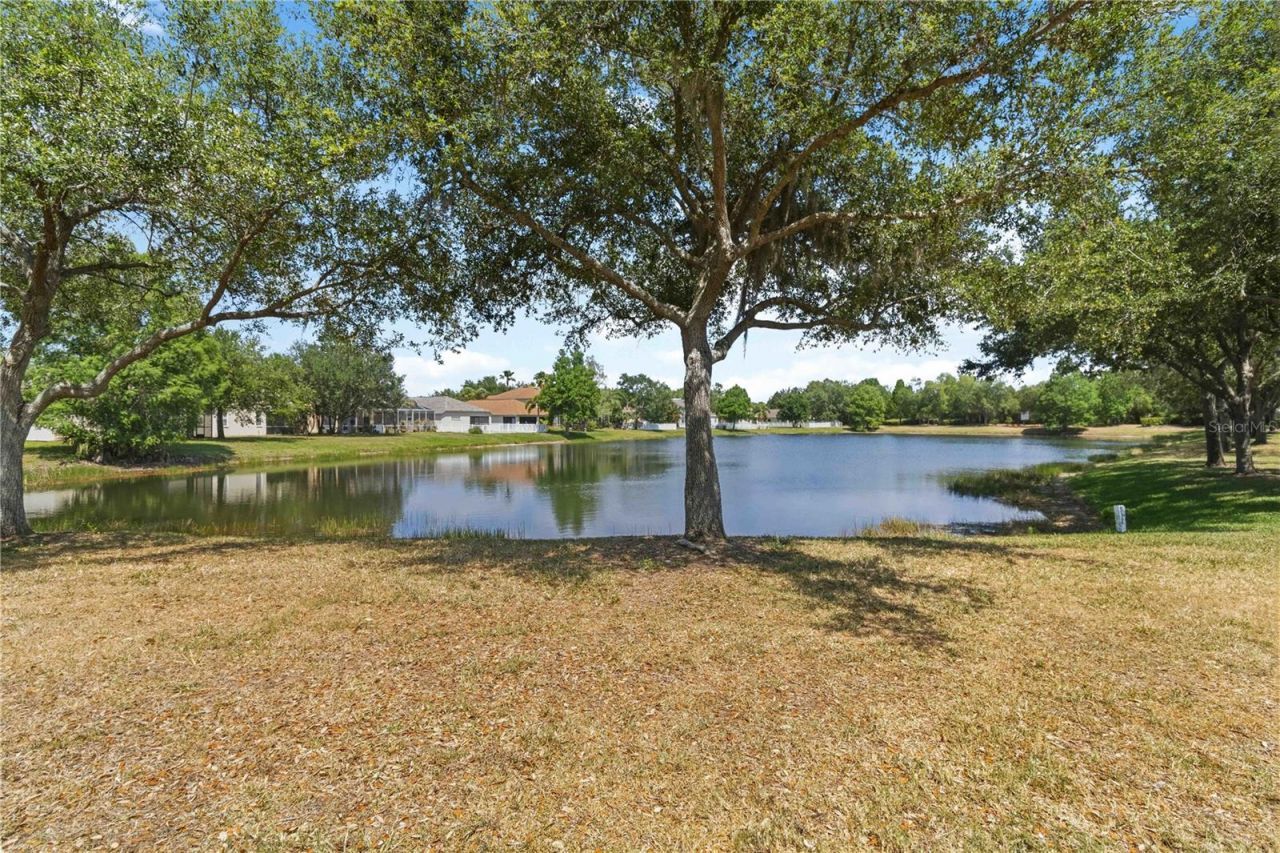 14969 Amberjack Terrace , Unit 14969, Bradenton, FL 34202 Photo