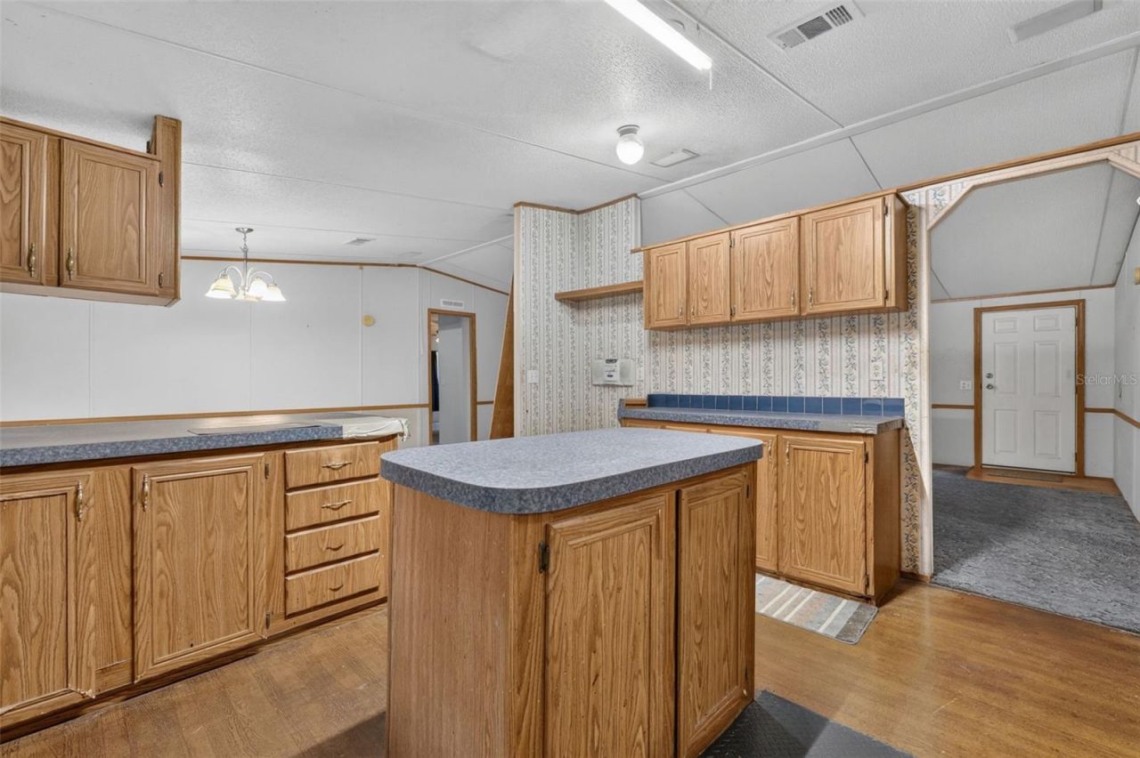 20241 Saltsdale Road , Umatilla, FL 32784 Photo