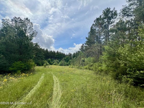 NE Highway 44 , Summit, MS 39666