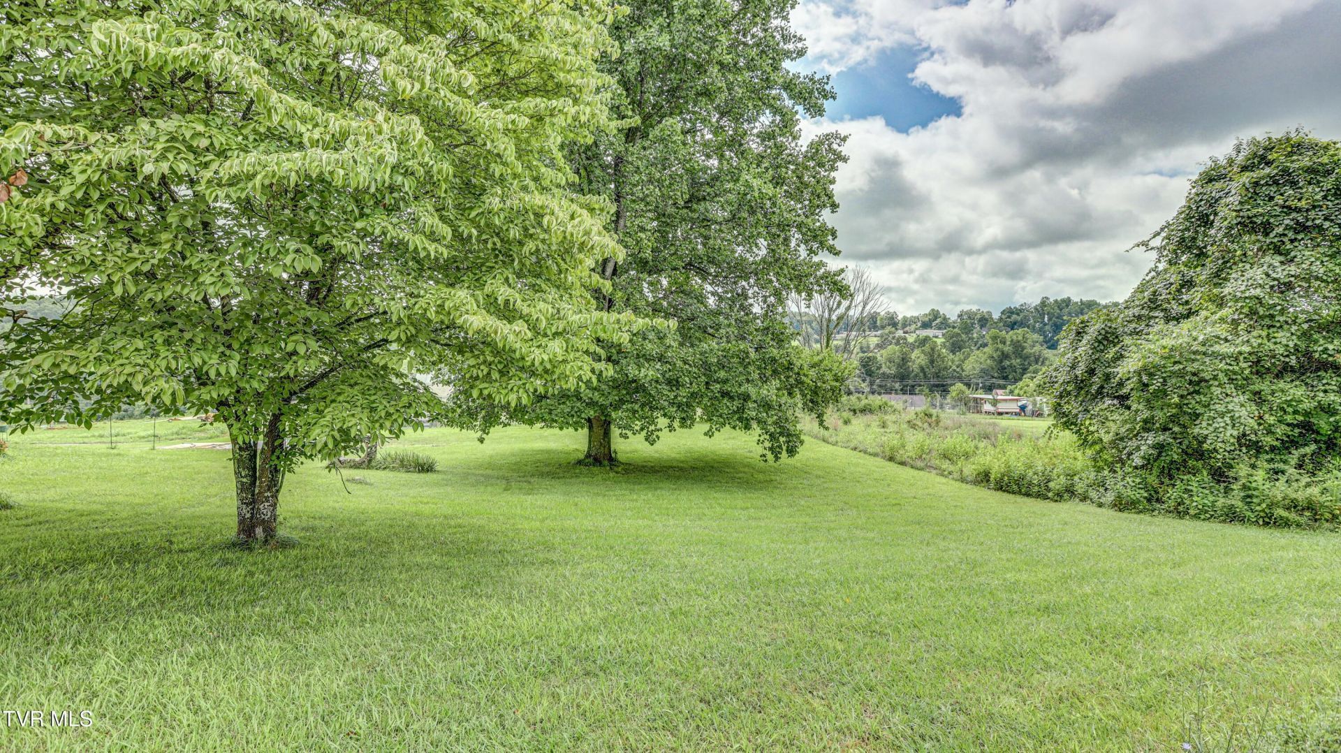 1349 Muddy Creek Road, Piney Flats, TN 37686 Main Photo
