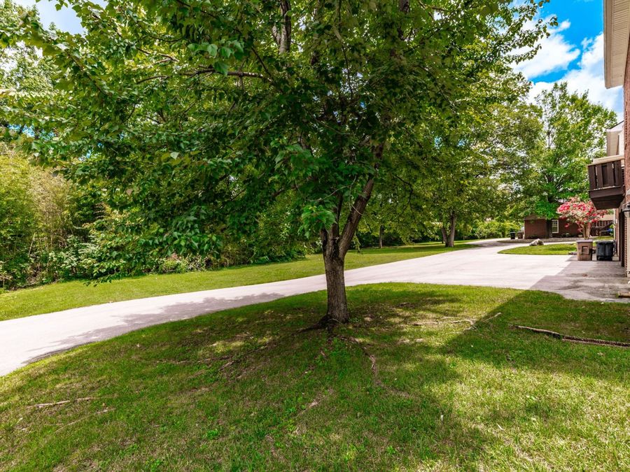 Property Image 59