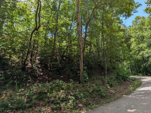 0 Old Penny Rd , Linden, TN 37096