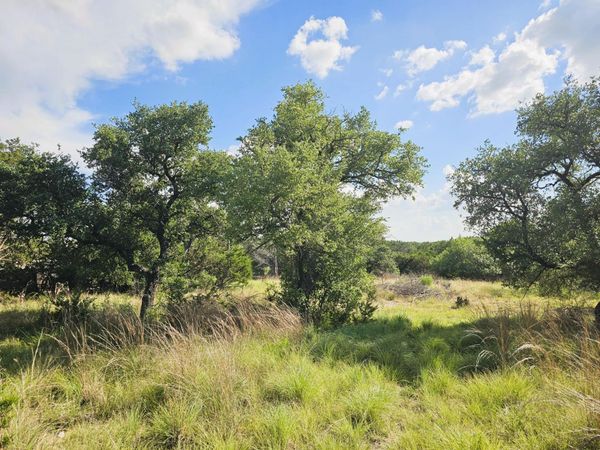 100 Reavis DR , Kempner, TX 76539