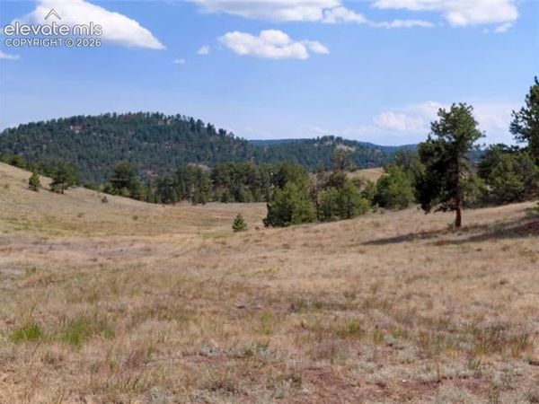 Tract 70 Owls Nest Road, Guffey, CO 80820