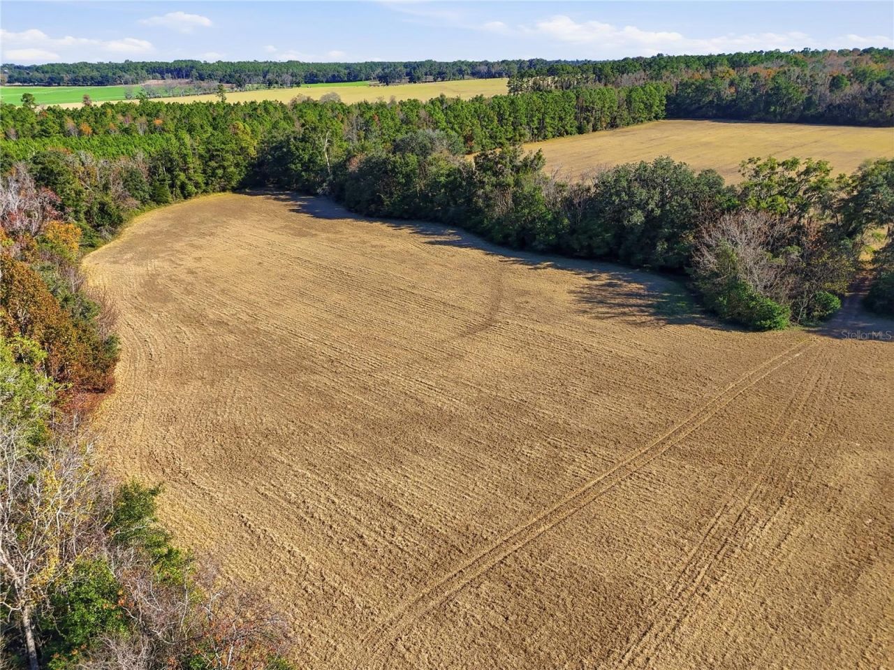 Old Bellamy Rd , High Springs, FL 32643 Photo
