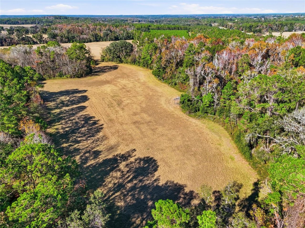 Old Bellamy Rd , High Springs, FL 32643 Photo