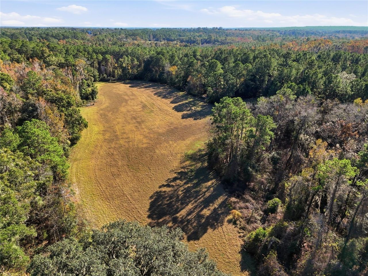 Old Bellamy Rd , High Springs, FL 32643 Photo
