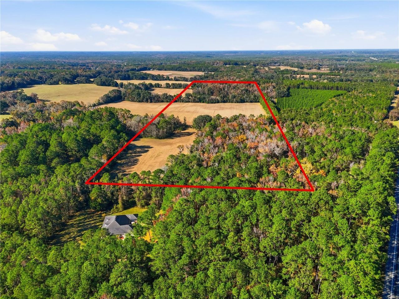 Old Bellamy Rd , High Springs, FL 32643 Photo
