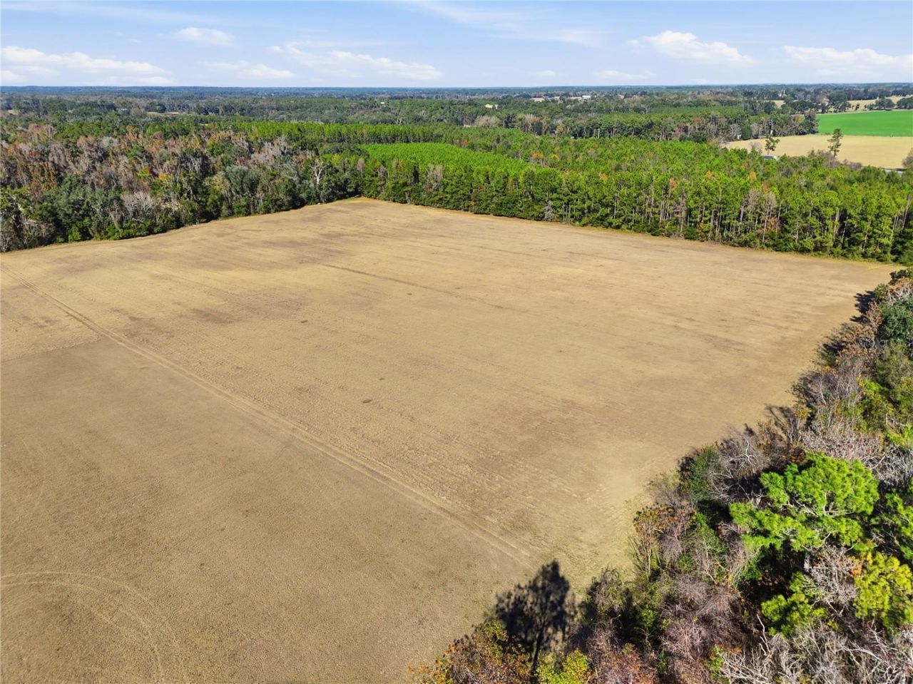Old Bellamy Rd , High Springs, FL 32643 Photo