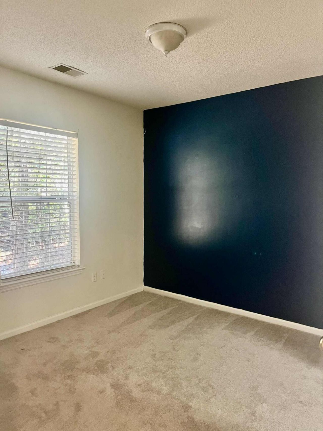 524 Beverly Drive Photo 19
