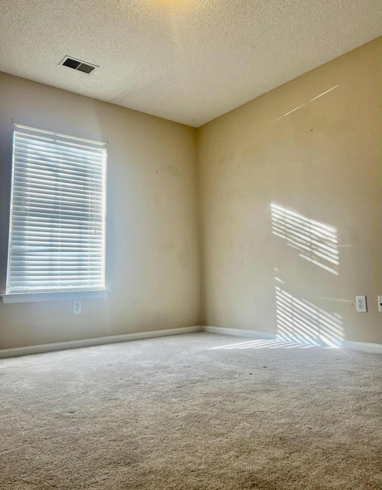 524 Beverly Drive Photo 21
