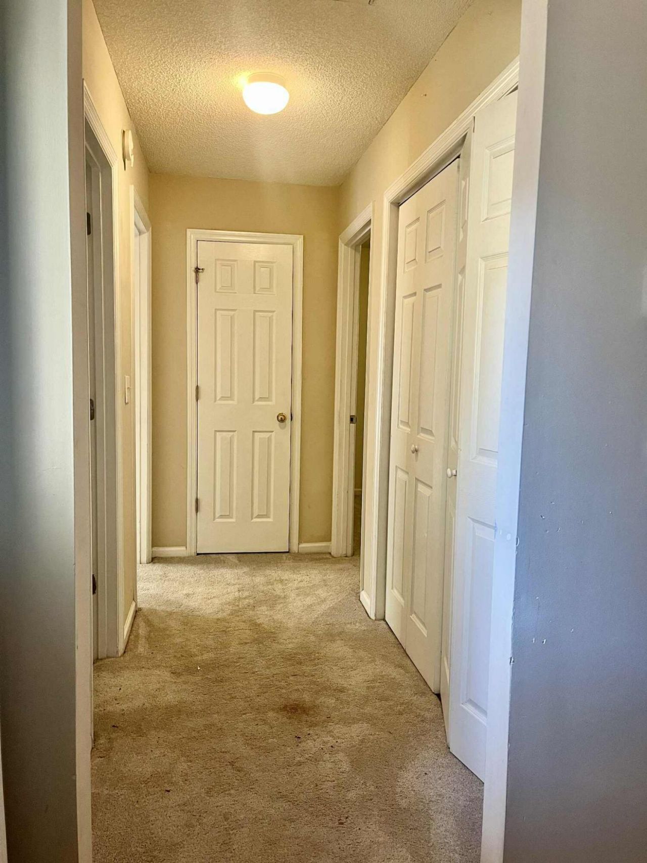524 Beverly Drive Photo 24