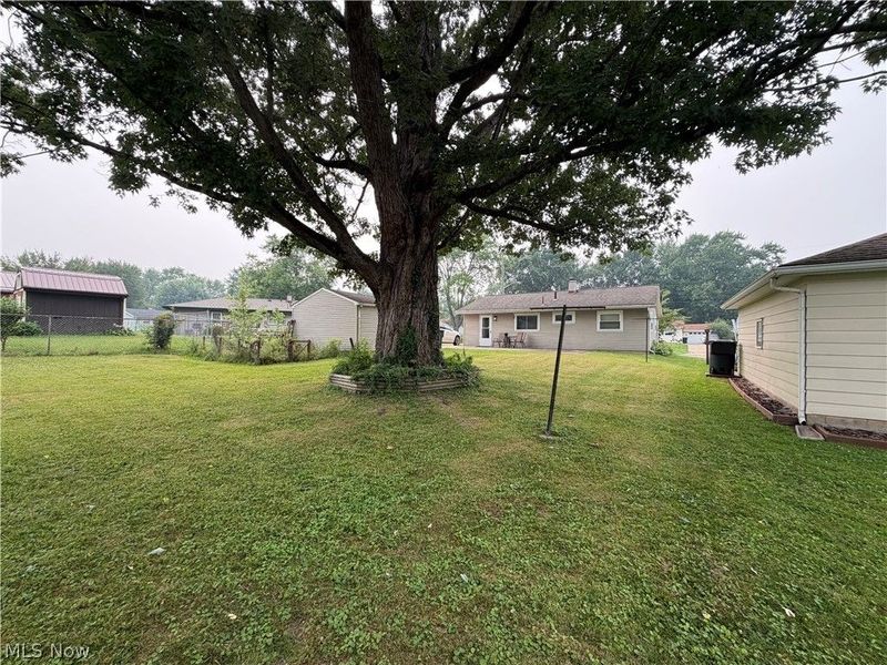 3334 Tanya Avenue NW, Warren, OH 44485 Photo 23